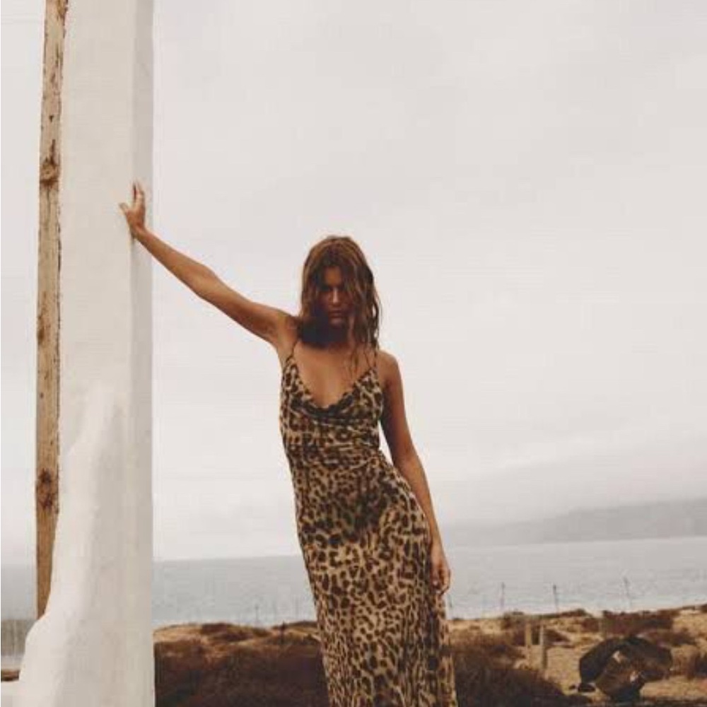 Zara Printed Tulle Maxi Dress- Leopard Print